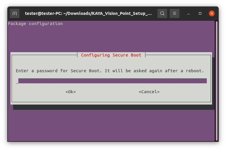 Secure_Boot_Message_2.png
